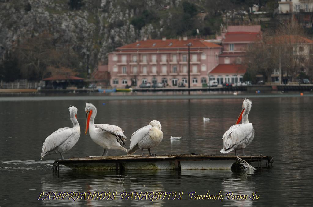 Hotel Kastoria In Kastoria City Exterior foto